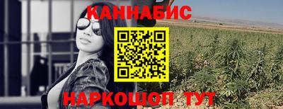 мдпв Можга