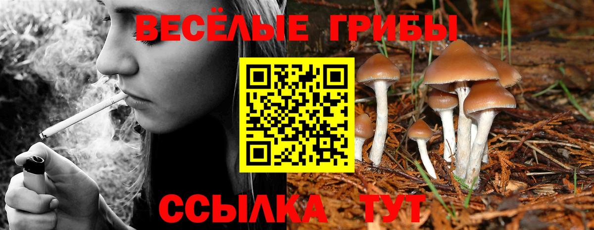 Советск  Псилоцибиновые грибы мухоморы  наркотики  Вход с VPN 