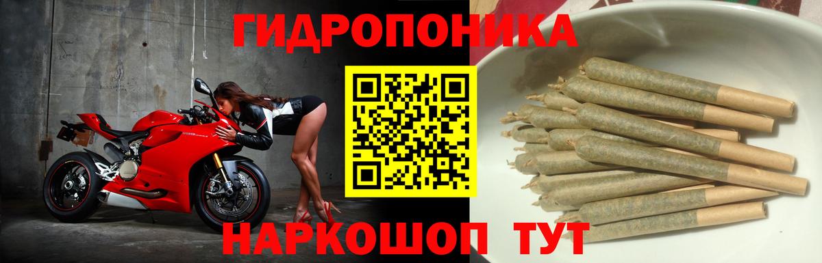 Конопля SATIVA & INDICA  МАРИХУАНА гибрид  Конопля LSD WEED  Вход с VPN  Советск  МАРИХУАНА планчик 